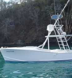 Flamingo II 31 ft Gamefisher 5 Pasajeros