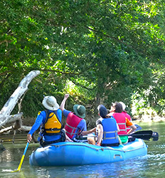 Flotando por el Río Peñas Blancas + Caminata a la Cascada La Fortuna