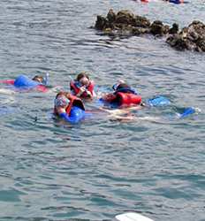 Kayak en el Mar & Snorkel en la Reserva Marino Ballena