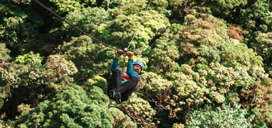 Todas las Excursiones de Tirolesa & Canyoning en Monteverde