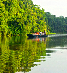 Paquetes en Excursiones a Tortuguero