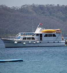 Paseo en Barco a la Isla Tortuga desde Manuel Antonio