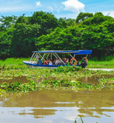 Paseo en Barco por la Vida Silvestre del Parque Nacional Palo Verde
