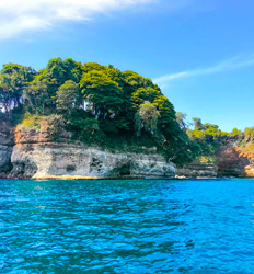 Paseo en Barco & Beach Break por Punta Mona