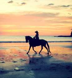 Paseo en Caballo Pura Aventura al Atardecer