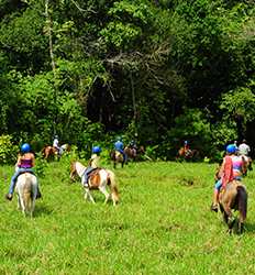 Paseo en Caballo Vista Los Sueños en Jaco