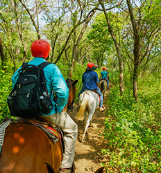 Paseo en Caballo en el Golfo de Papagayo