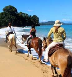 Paseo en Caballo en la Playa Punta Uva