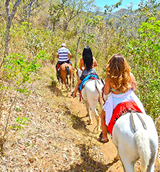 Paseo en Caballo por el Sendero Congo en Guanacaste