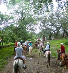 Paseo en Caballo por la Playa + Excursión de Cocodrilos en Tárcoles Costa Rica