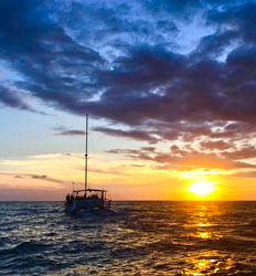 Paseo en Catamarán al Atardecer en Jaco