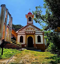 Paseo en Lancha Rápida por Isla San Lucas