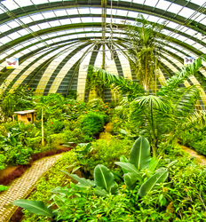 Puentes Colgantes del Bosque Nuboso de Monteverde, Santuario de Perezosos & Casa de Reptiles