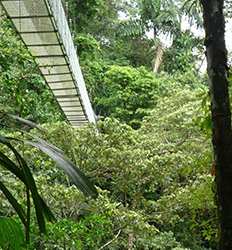 Puentes Colgantes en Arenal