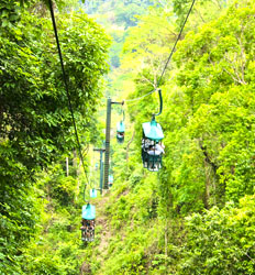 Recorrido en Teleférico por el Bosque Lluvioso de Jacó