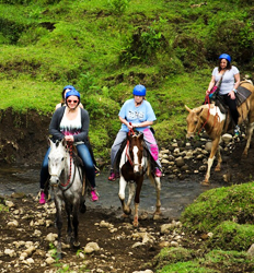 Remo en el Río Balsa, Cabalgata en Arenal & Caminata a la Cascada La Fortuna