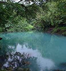 Rio Celeste, Tenorio National Park & Heliconias Hanging Bridges