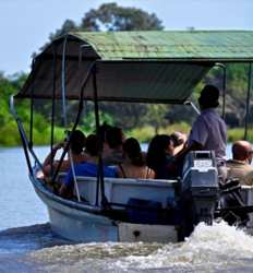 Safari Flotante por los Manglares de Tamarindo