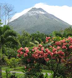 Súper Combo Arenal: Puentes Colgantes, Caminata a la Cascada & Volcán Arenal