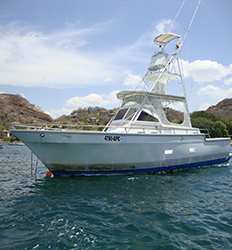 T-Boat 42ft Sportfish Walkaround 8 Pasajeros