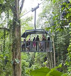 Teleférico & Caminos Naturales por el Bosque Veragua