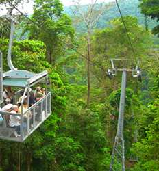 Teleférico & Parque Natural del Bosque Veragua