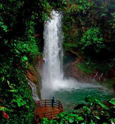 Volcán Poas, Plantación de Café Doka & Los Jardines de La Cascada La Paz