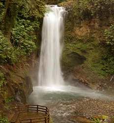 Volcán Poas & Jardines en La Cascada La Paz