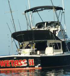 WetAss II 31 ft Bertram 5 Pasajeros