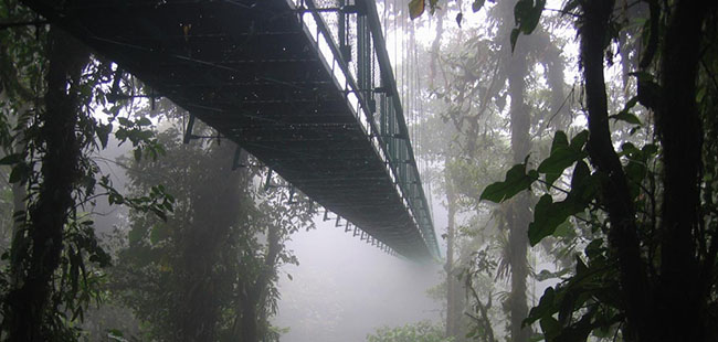 Excursiones en Monteverde