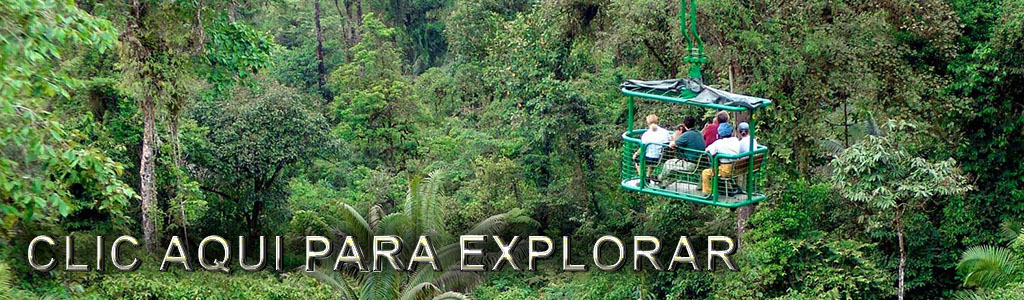 Aventura 3 en 1 en el Bosque Lluvioso de Costa Rica