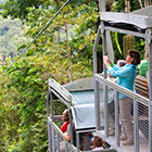 Bosque Pluvial Veragua: Teleférico, Parque + La Tirolesa Original