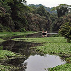 Conexiones Inteligentes – Excursión en Tortuguero (Expedición de 2 o 3 Días)