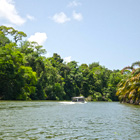 Servicio de Transportación Redonda Hacia Tortuguero Desde Arenal