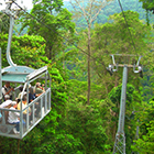 Teleférico & Parque Natural del Bosque Veragua