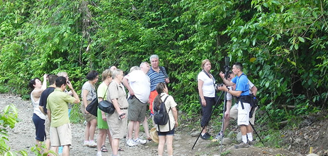 Nature and Eco Tours