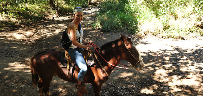 Horseback Riding Tours